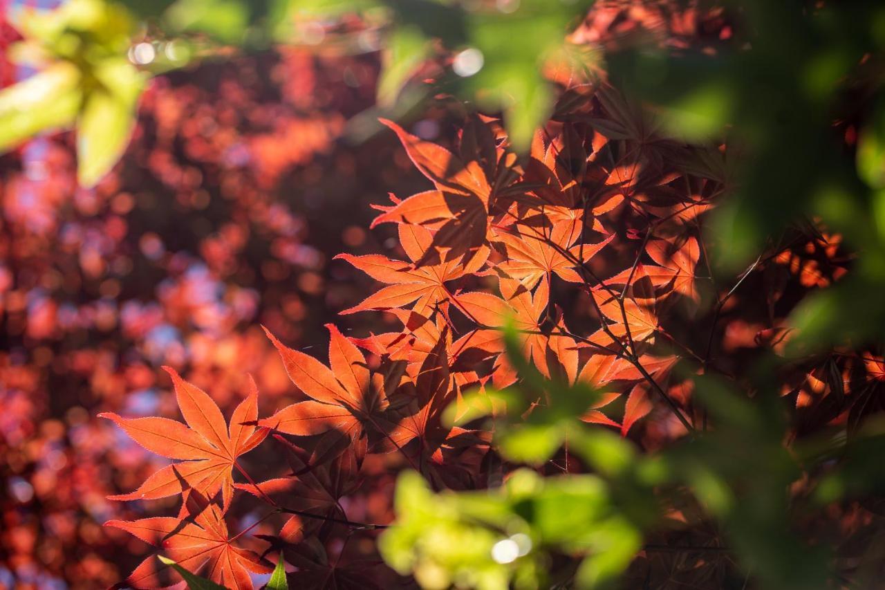 清境英格曼花園民宿 Renai Exteriér fotografie