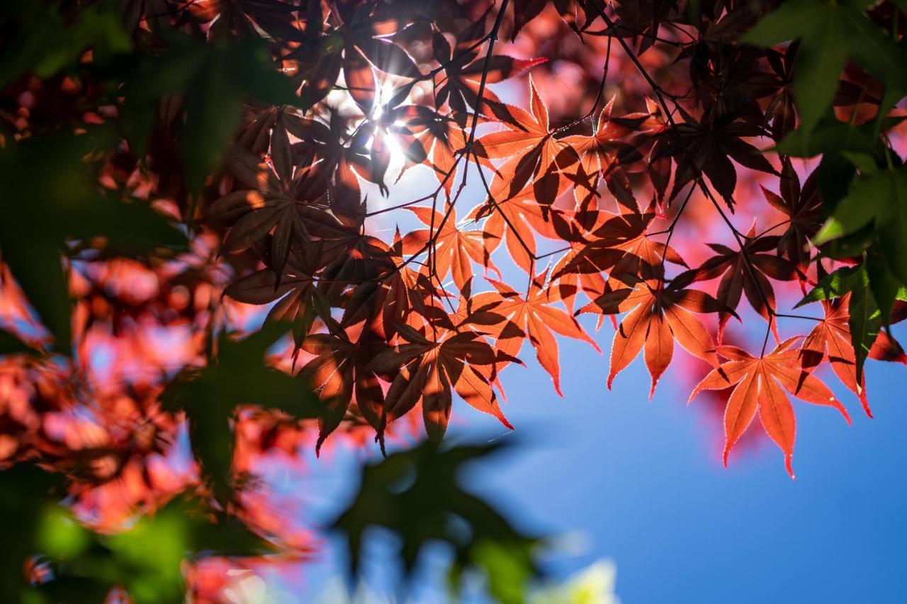 清境英格曼花園民宿 Renai Exteriér fotografie