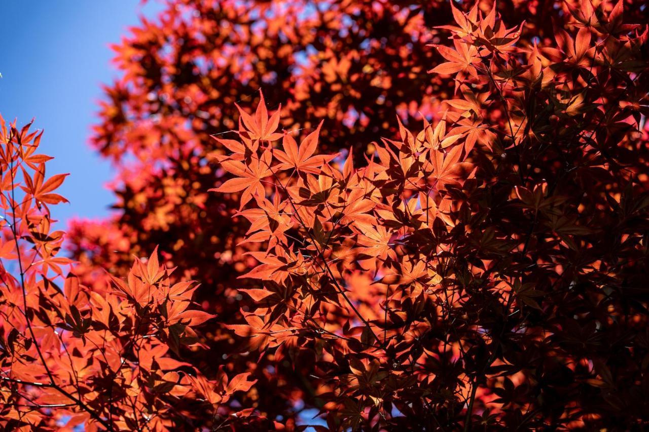 清境英格曼花園民宿 Renai Exteriér fotografie